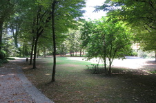 Enlarge photo 14