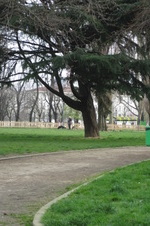 Enlarge photo 3