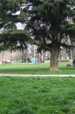 Enlarge photo 4