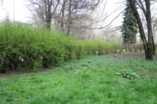Enlarge photo 7