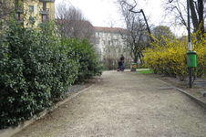 Enlarge photo 9