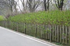 Enlarge photo 10