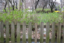 Enlarge photo 11