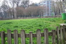 Enlarge photo 12