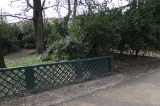 Enlarge photo 16
