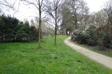 Enlarge photo 19