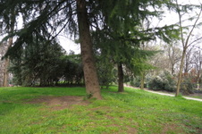 Enlarge photo 20