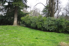 Enlarge photo 21