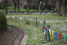 Enlarge photo 23