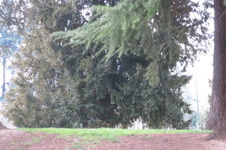 Enlarge photo 26