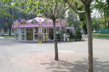 Enlarge photo 9
