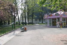 Enlarge photo 10