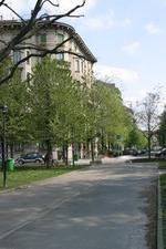 Enlarge photo 16