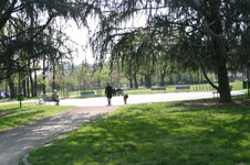 Enlarge photo 18