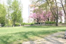 Enlarge photo 26
