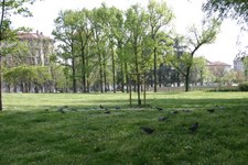 Enlarge photo 28