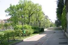 Enlarge photo 32