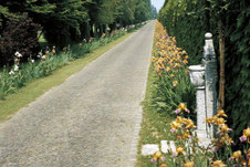 Enlarge photo 2