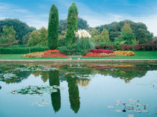 Enlarge photo 14
