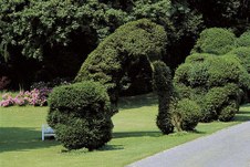Enlarge photo 15