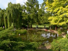 Enlarge photo 4