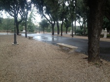 Enlarge photo 1