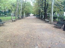 Enlarge photo 7