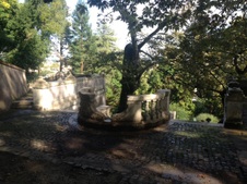 Enlarge photo 16