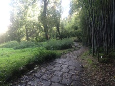 Enlarge photo 18
