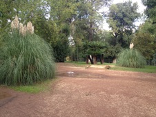 Enlarge photo 15