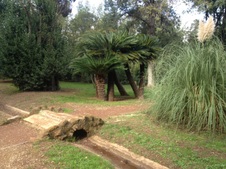 Enlarge photo 16