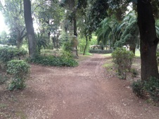 Enlarge photo 18