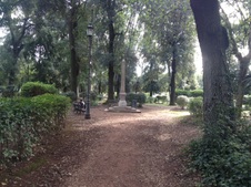 Enlarge photo 19