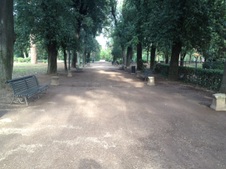 Enlarge photo 23
