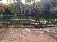 Enlarge photo 25