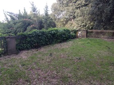Enlarge photo 27