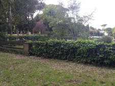 Enlarge photo 28