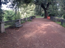 Enlarge photo 31