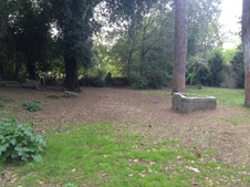 Enlarge photo 5