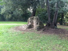 Enlarge photo 7