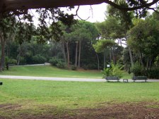 Enlarge photo 17