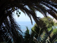 Enlarge photo 19