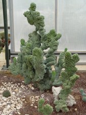 Enlarge photo 17