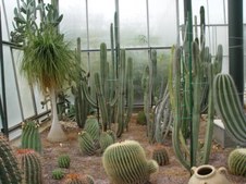 Enlarge photo 18