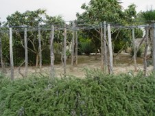 Enlarge photo 29