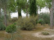Enlarge photo 30
