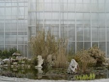 Enlarge photo 35
