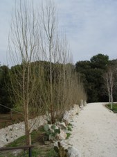 Enlarge photo 37