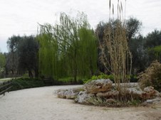 Enlarge photo 40