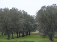 Enlarge photo 42
